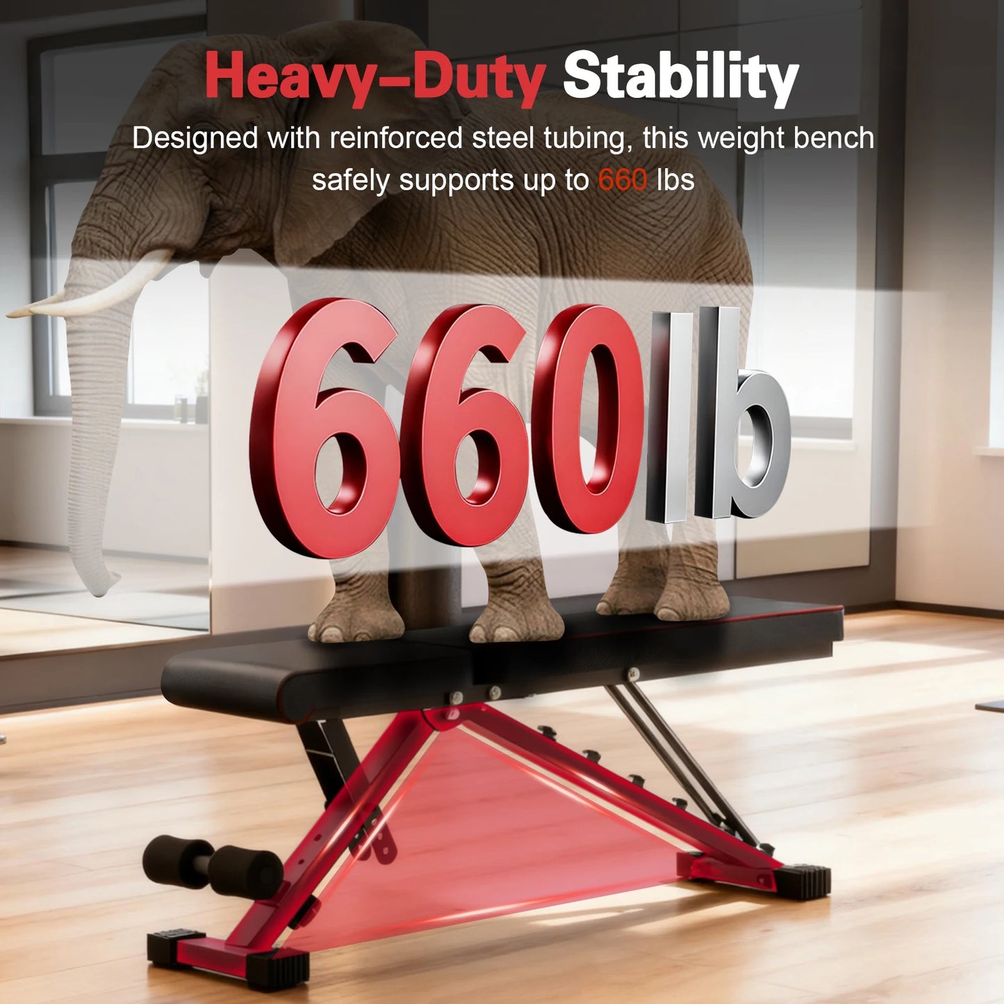 Foldable Multifunctional Adjustable Dumbbell Bench 660 Lbs Capacity For Home Gym
